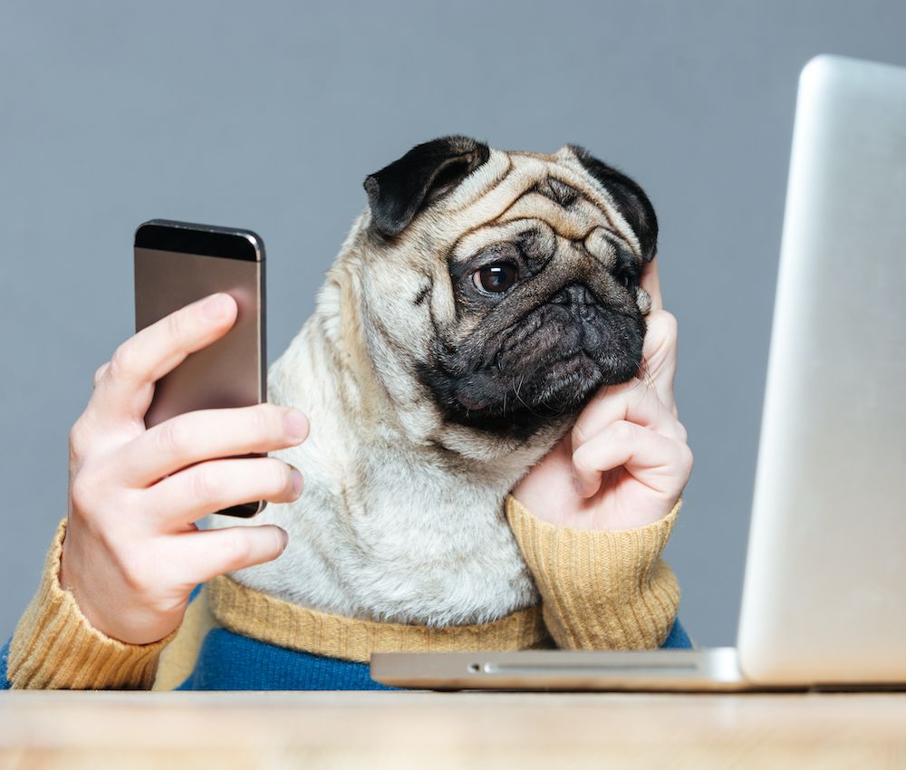 Can You Hear Me Now?